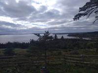 20. Landschaft auf Cape Breton Island (2)