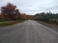 22. Landschaft von New Brunswick (1)