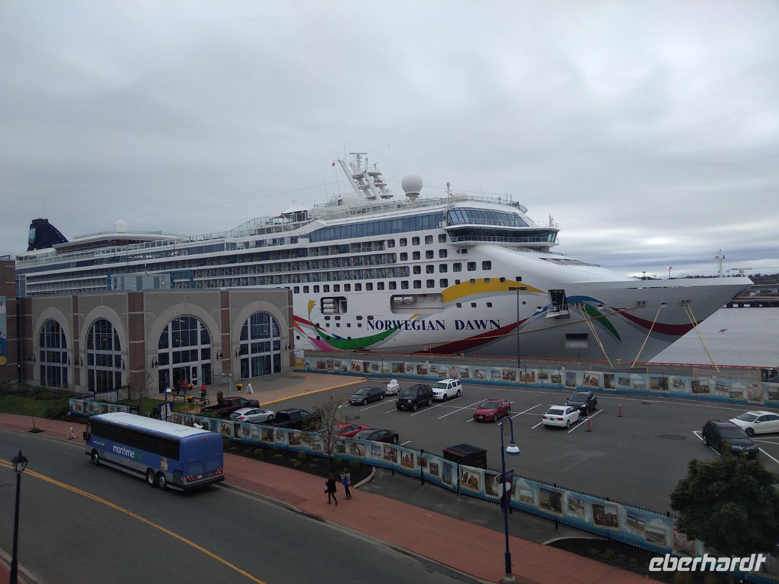 24. Die Norwegian Dawn