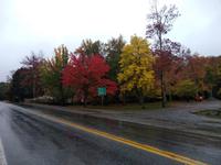 25. Bunte Bäume bei Bar Harbor (1)