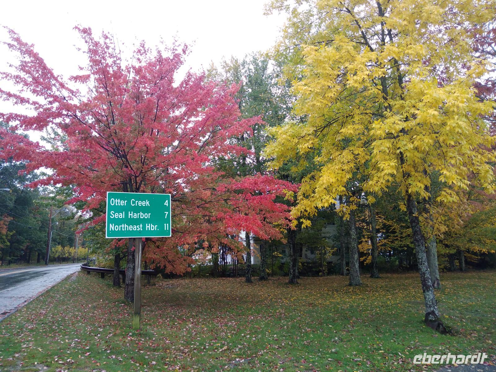 25. Bunte Bäume bei Bar Harbor (4)