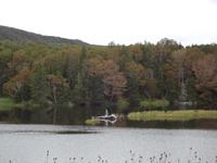 Little River Harbour