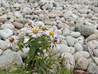 Little River Harbour