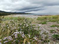 Little River Harbour