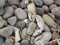 Little River Harbour