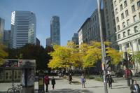 Stadtbesichtigung Montreal