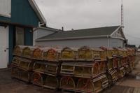 Landauflug Charlottetown und Anne of Green Gables