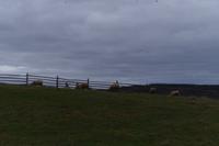 Landausflug Nova Scotia