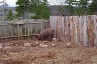 Landausflug Nova Scotia