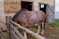 Landausflug Nova Scotia