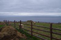 Landausflug Nova Scotia