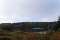 Fahrt zu Peggys Cove