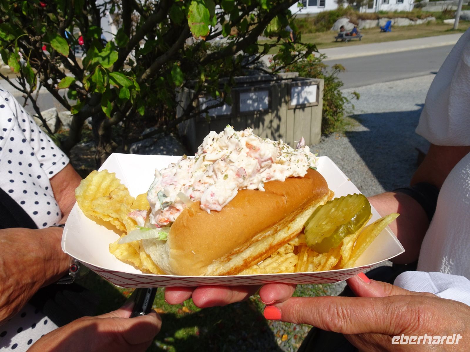 Lobster Roll (Fischbrötchen :-) )