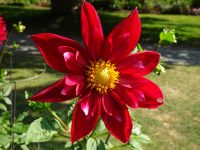 Halifax Public Gardens