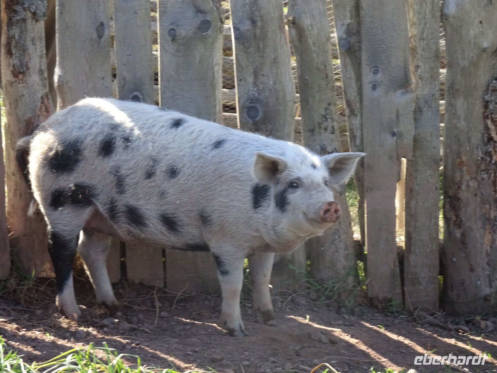 Highland Heritage Center in Iona Kanada - Freilichtmuseum