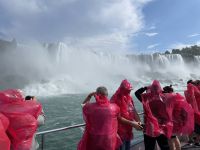 Während einer Schifffahrt lässt sich dieses Naturschauspiel aus einem ganz besonderen Blickwinkel erleben. 