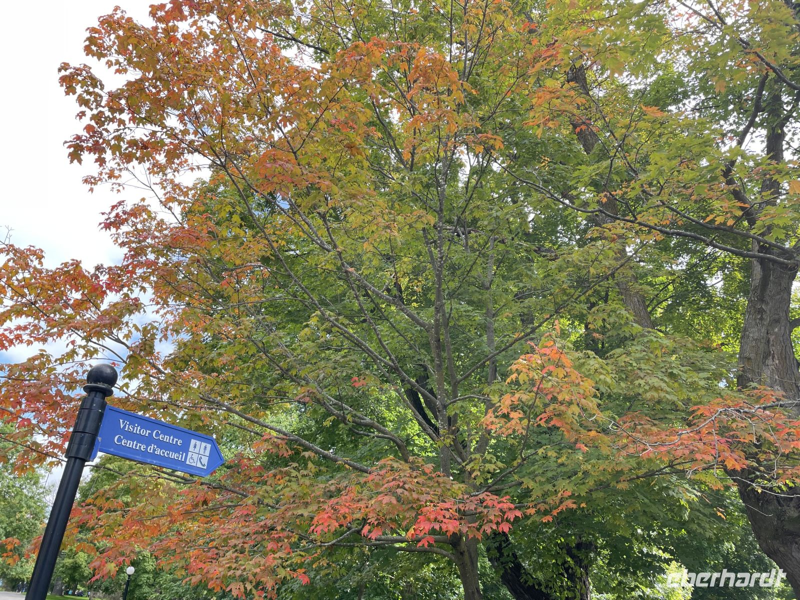 Der Indian Summer setzt so langsam ein