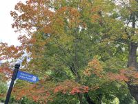 Der Indian Summer setzt so langsam ein