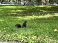 Wir waren nicht die einzigen Besucher des Rideau Park