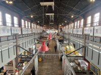 Mittagspause in der Markthalle von Ottawa