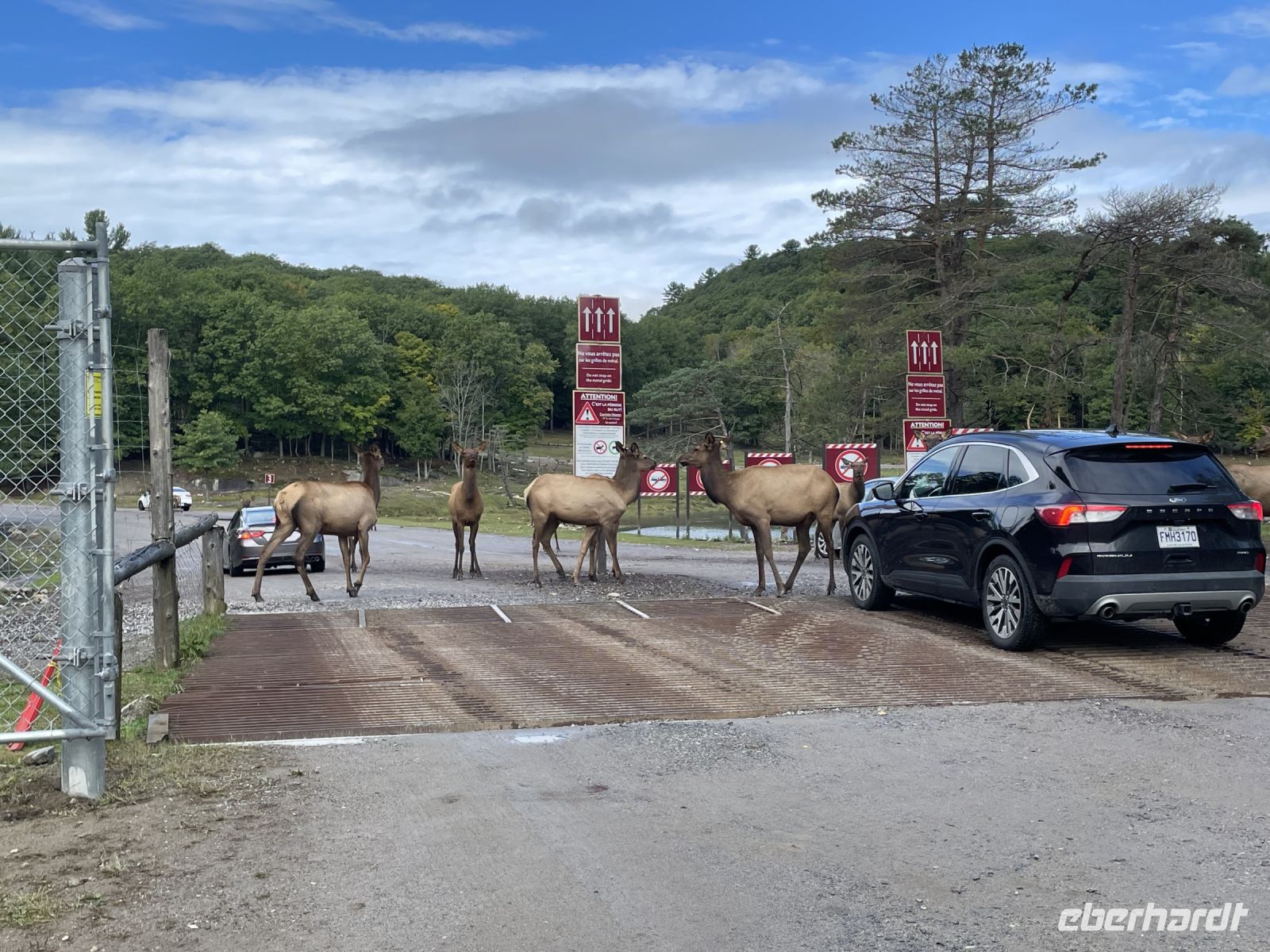 Freudiger Empfang im Omega-Wildpark