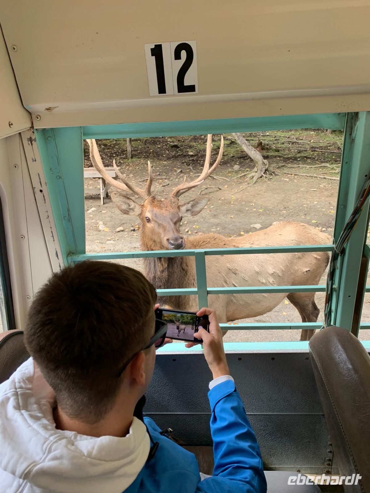 Safari im Omega-Wildpark