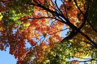 Ottawa, Rideau Hall Park