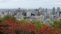 Montreal, Blick vom Mount Royal
