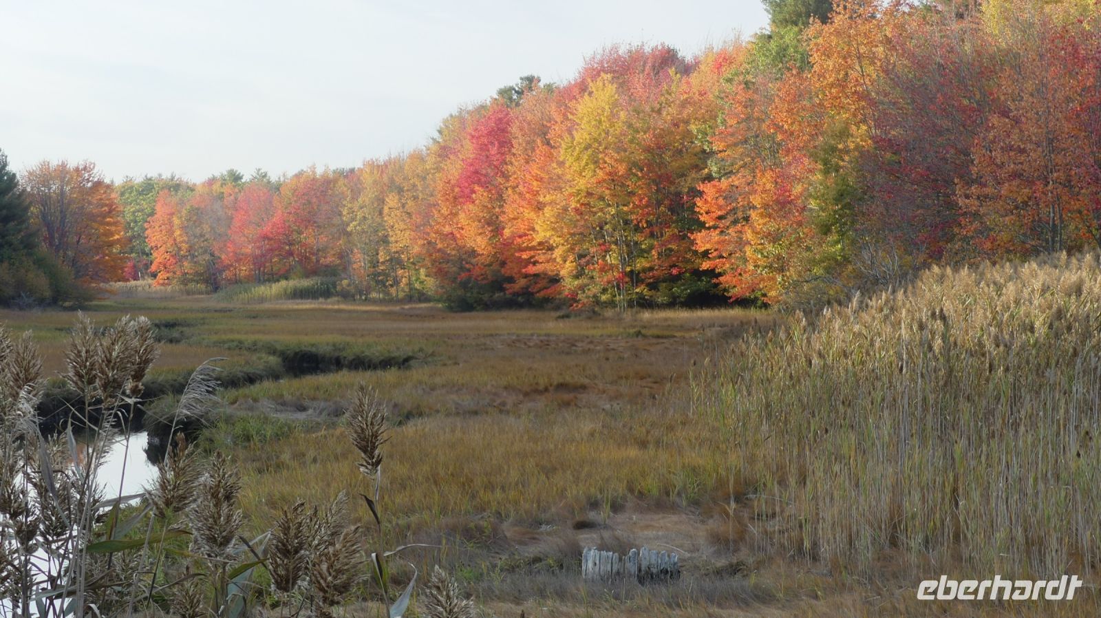 am Rand von Kennebunkport