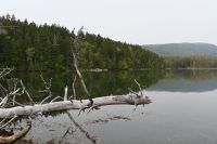 Ost-Kanada & USA - Bar Harbor - Acadia National Park (6)