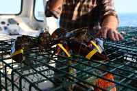 Ost-Kanada & USA - Kennebunkport - Lobster (2)