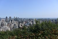 Ost-Kanada & USA - Montreal - Mount Royal (4)