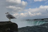 Ost-Kanada & USA - Niagara Falls (7)