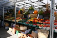 Ost-Kanada & USA - Ottawa (7)