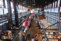 Ost-Kanada & USA - Ottawa (9)