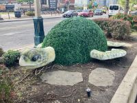 Blumenkunst, Toronto