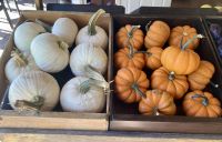 Walkers Country Market 