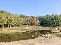 Omega NP, Montebello