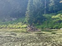 Omega NP, Montebello