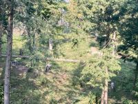 Omega NP, Montebello