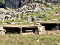 Omega NP, Montebello