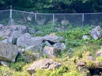 Omega NP, Montebello