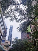 Chelsea Hotel Umgebung