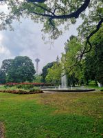 Niagara Falls Eindrücke (3)