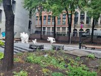 Eindrücke von Montreal (1)