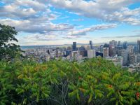 Skyline von Motreal (3)