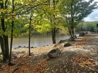 Wildlife im Omega Parc (5)