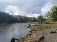 Wildlife im Omega Parc (8)