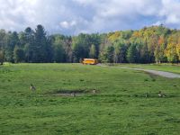 Wildlife im Omega Parc (11)