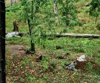 Wildlife im Omega Parc (13)